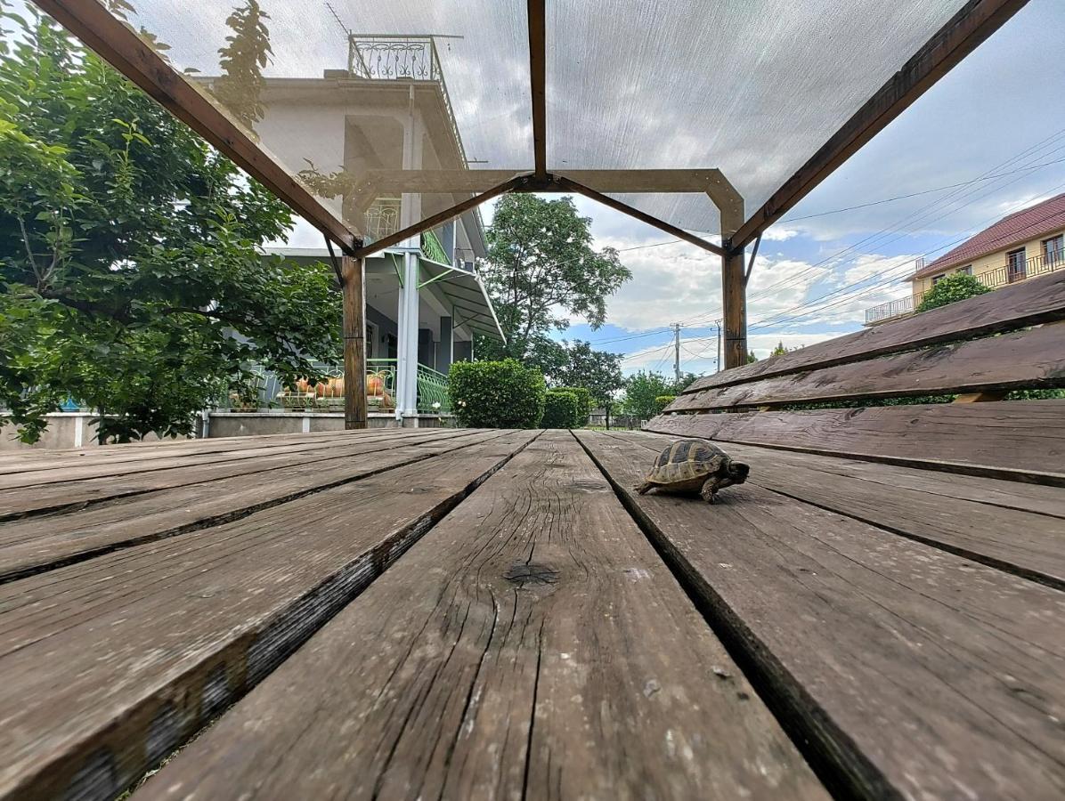Garden 3* Szkodra