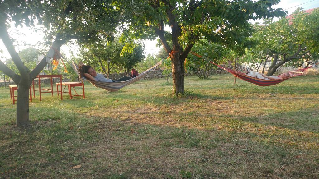 Garden 3* Szkodra